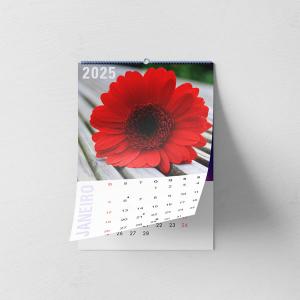 Calendário de Parede com 12 Lâminas Lâmina Couche 300gr 20x28cm 4/0 Sem verniz Furo + Encadernação Wire-o Produzido e Faturado por P.M.G.E. Ltda