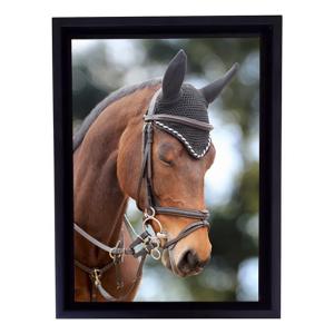 Quadro Artes / Fotos - Glossy / Canvas Glossy (Brilho) 180gr | Canvas (Tela de pintura) 20x30 cm | 30x40 cm | 40x60 cm | 60x80 cm | 70x105 cm 4x0 Impressão Solvente  Material Produzido e Faturado por N.I.D.I. Ltda - KD - ML